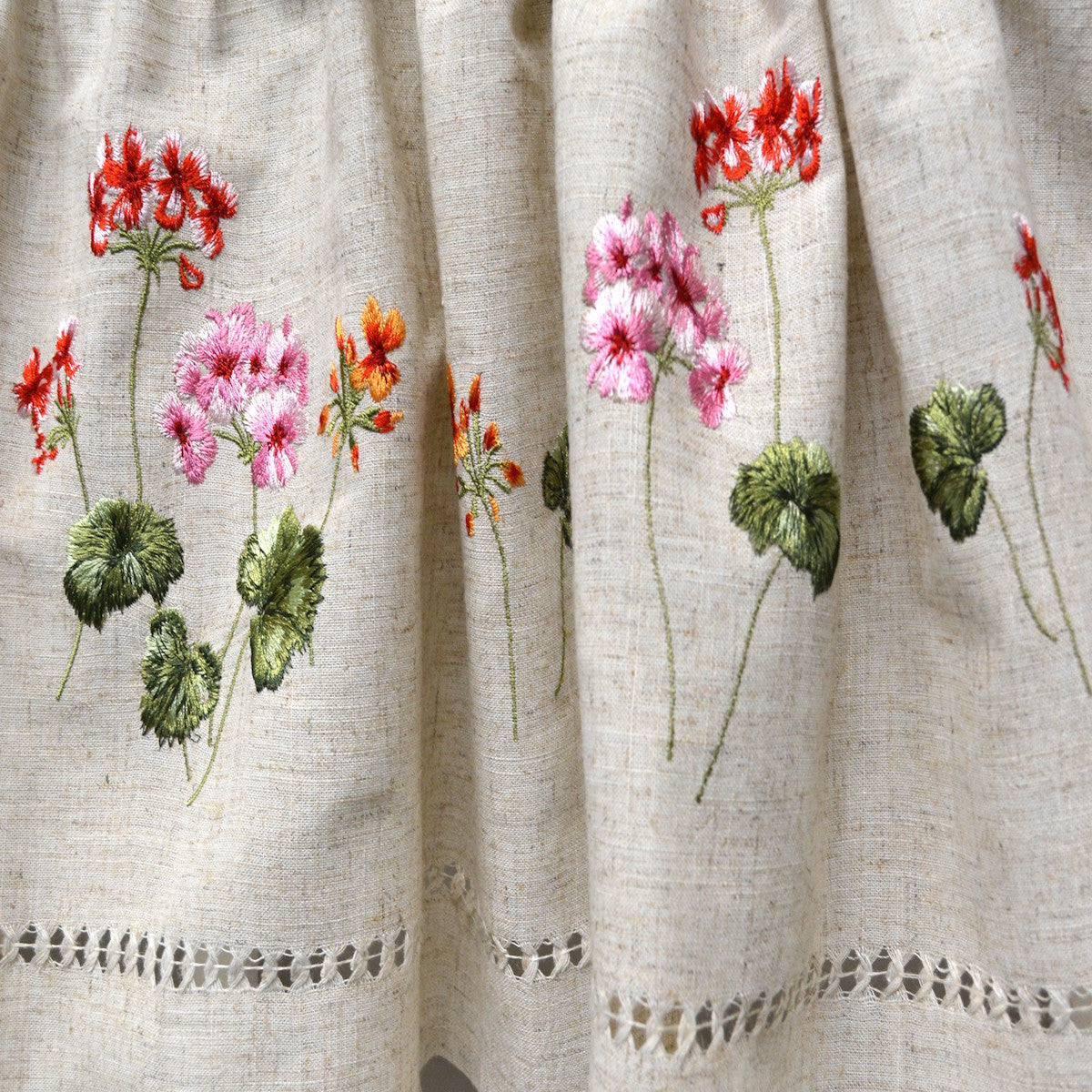 Geranium