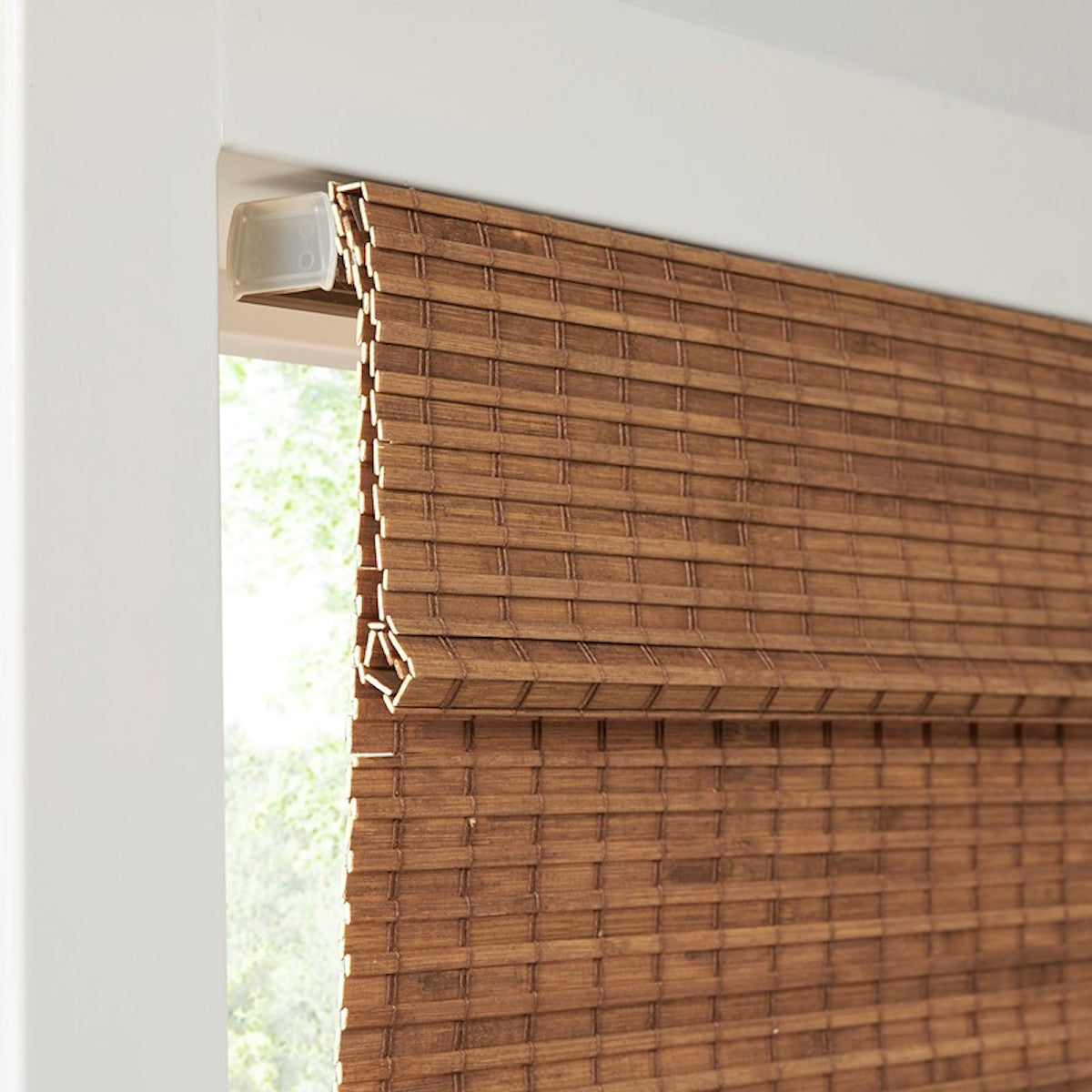 Teak