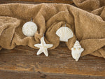 White Thumbnail