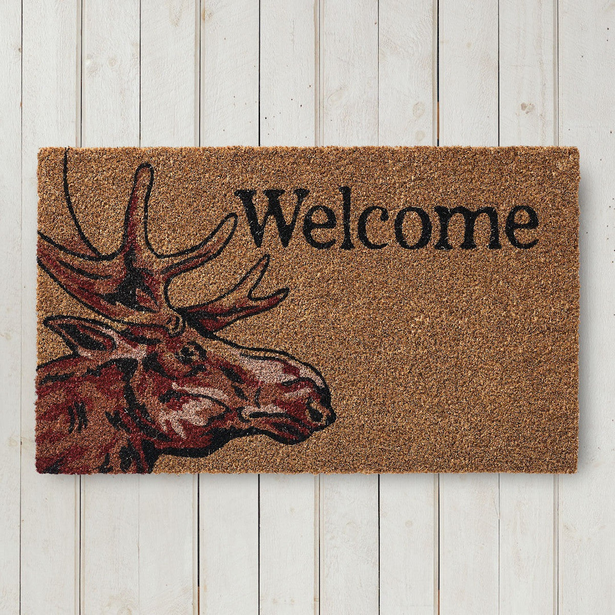Moose 