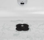 Black Thumbnail