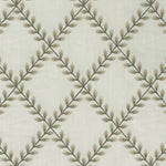 Birch Thumbnail