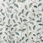 Silver Sage Thumbnail