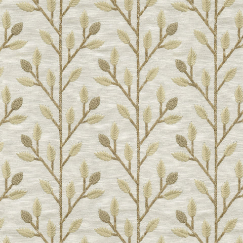 Flax