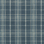 Indigo Thumbnail