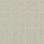 Dove Thumbnail