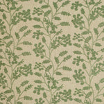 Thyme Thumbnail