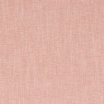Blush Thumbnail