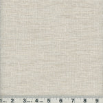 Dove Thumbnail