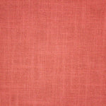 Raspberry Thumbnail