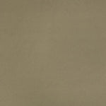 Flax Thumbnail
