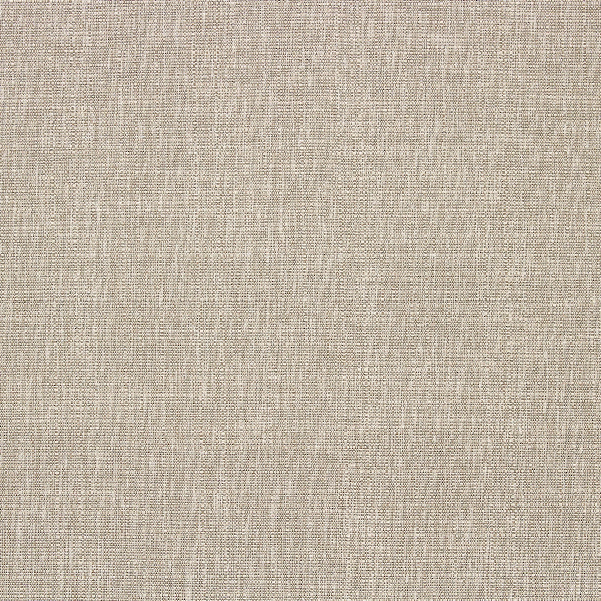 Birch