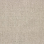 Birch Thumbnail
