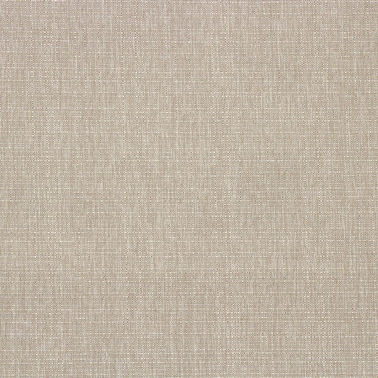Birch