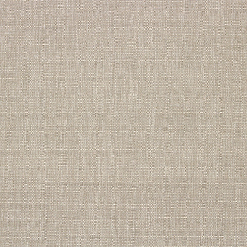 Birch